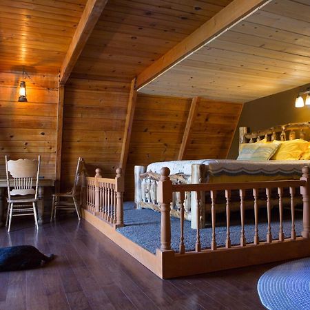 Hicksville Pines Chalets & Motel Idyllwild Esterno foto