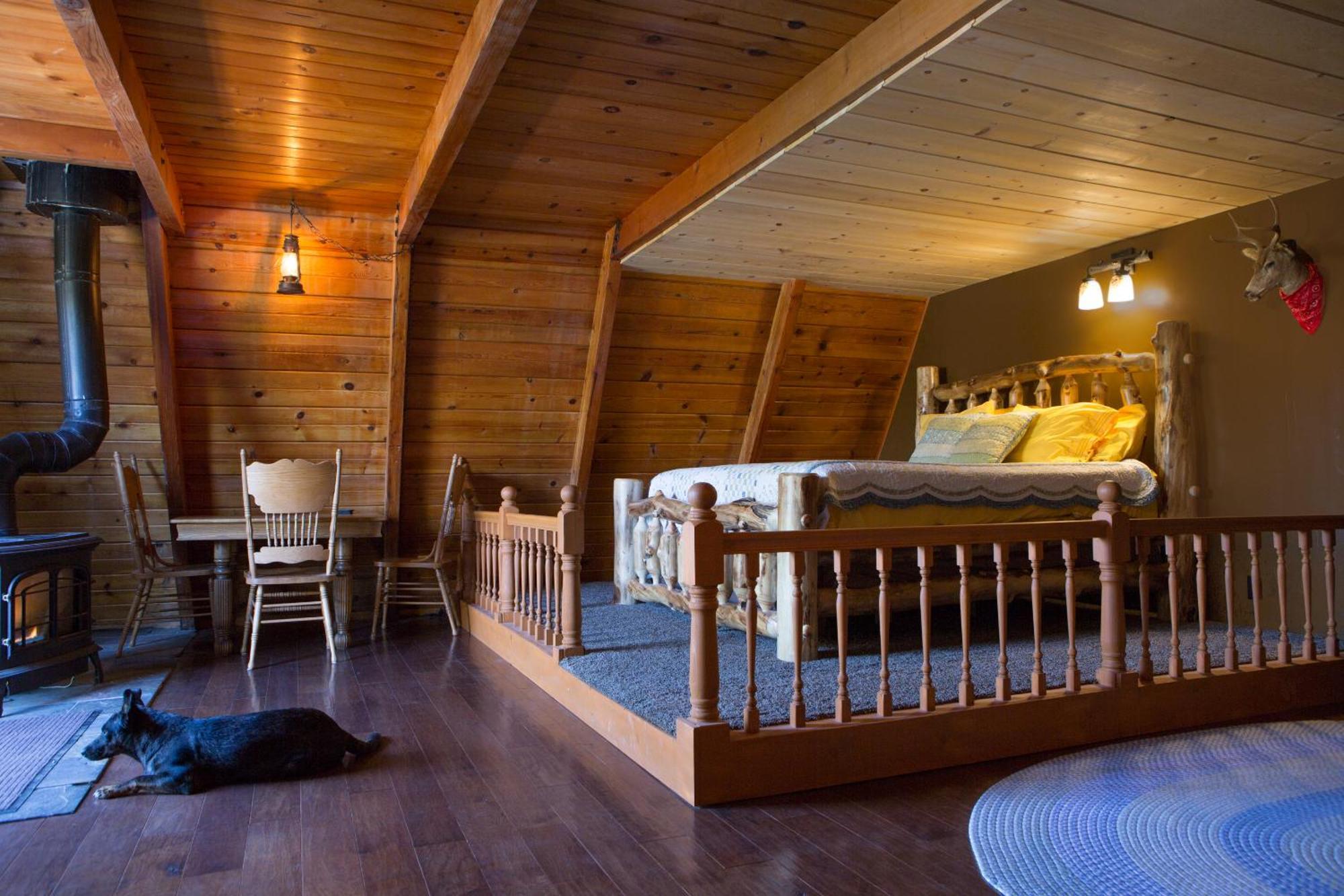 Hicksville Pines Chalets & Motel Idyllwild Esterno foto